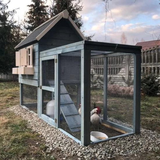 Poulailler Scandinave Toit Shingle Ouvrant 6 à 8 Poules Bois Epicéa 4 Poulailler Scandinave Toit Shingle Ouvrant 6 à 8 Poules Bois Epicéa – Image 2
