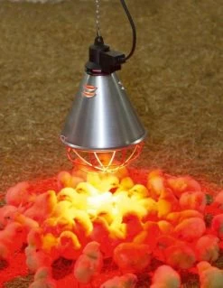 Protecteur De Lampe Infrarouge 175W éleveuse électrique Poule 5m - Kerbl 5 Protecteur De Lampe Infrarouge 175W éleveuse électrique Poule 5m - Kerbl -Fournitures De Volaille protecteur de lampe infrarouge 5 m kerbl vue 7