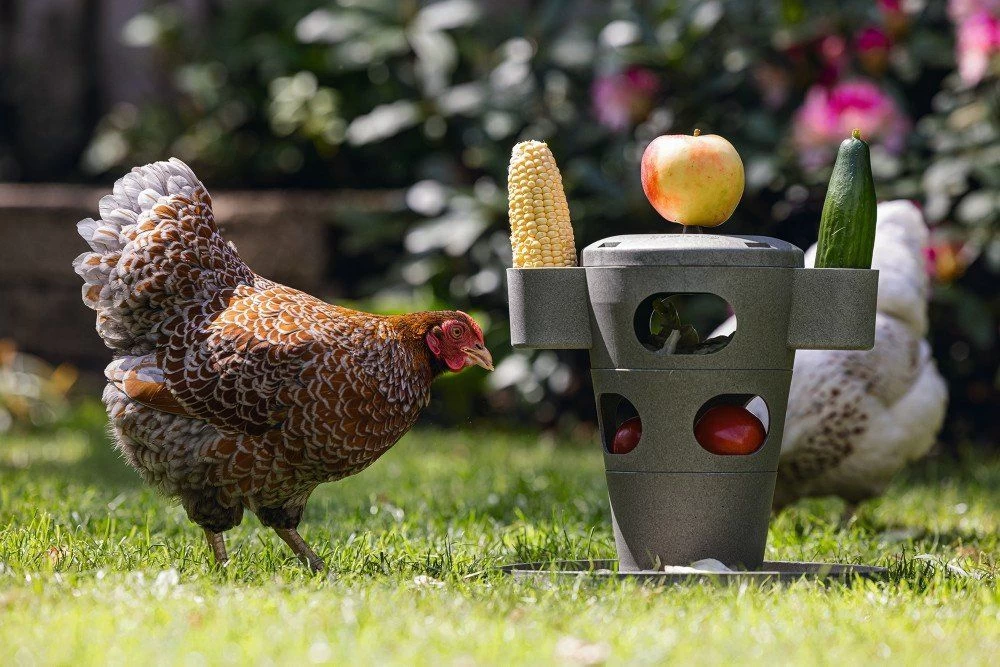 Mangeoire Tour Pour Poule Snack Tower Grise En Plastique Recyclé - Beeztees 3 Mangeoire Tour Pour Poule Snack Tower Grise En Plastique Recyclé - Beeztees