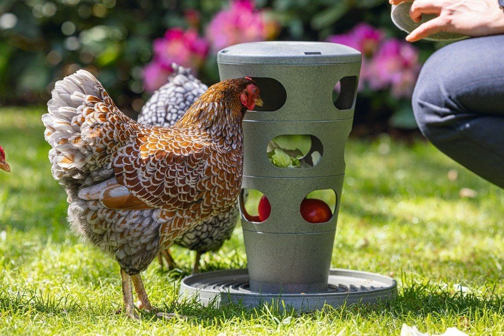 Mangeoire Tour Pour Poule Feed Tower Grise En Plastique Recyclé - Beeztees 3 Mangeoire Tour Pour Poule Feed Tower Grise En Plastique Recyclé - Beeztees