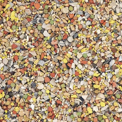 Mélange De Minéraux Enrichi Pour Volailles MinaVital 4Kg - Versele Laga 3 Mélange De Minéraux Enrichi Pour Volailles MinaVital 4Kg - Versele Laga