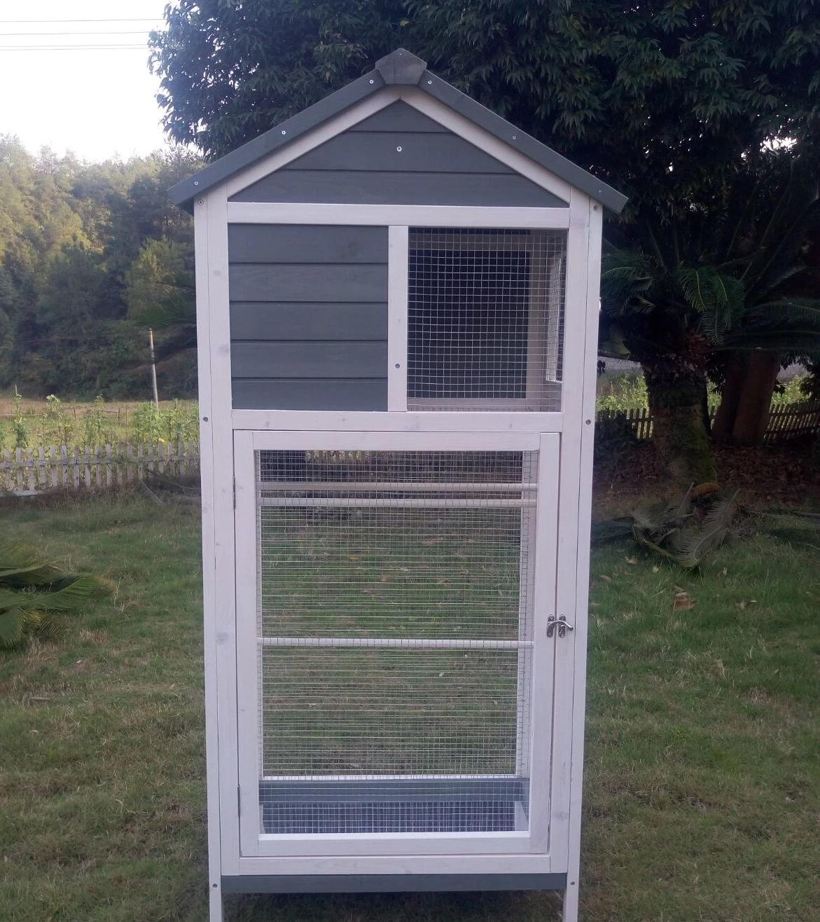 Volière Oiseaux En Bois Avec Toit Shingle Inséparable Bleue Et Blanche 8 Volière Oiseaux En Bois Avec Toit Shingle Inséparable Bleue Et Blanche – Image 6