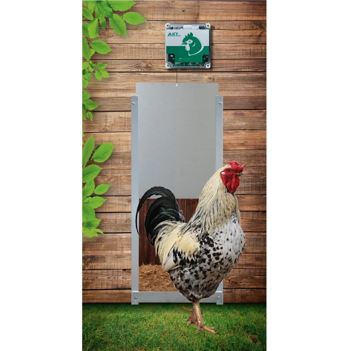 Portier électronique Poule Option Capteur De Luminosité à Piles VSDB - AXT Electronic 5 Portier électronique Poule Option Capteur De Luminosité à Piles VSDB - AXT Electronic – Image 3