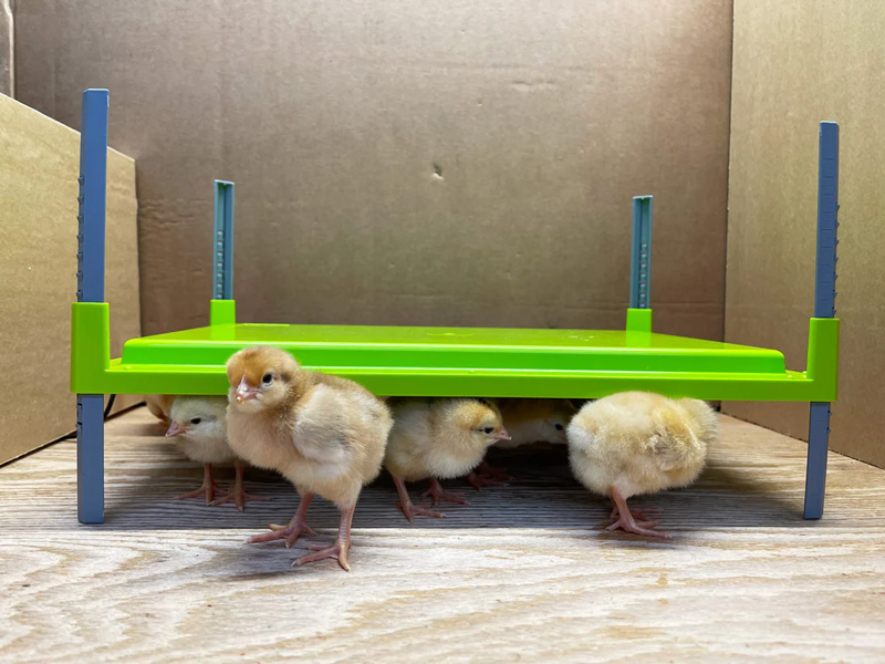 Fournitures De Volaille -Fournitures De Volaille 1