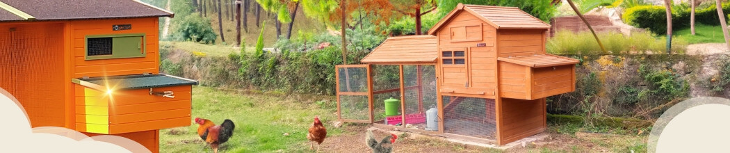 Fournitures De Volaille -Fournitures De Volaille 1